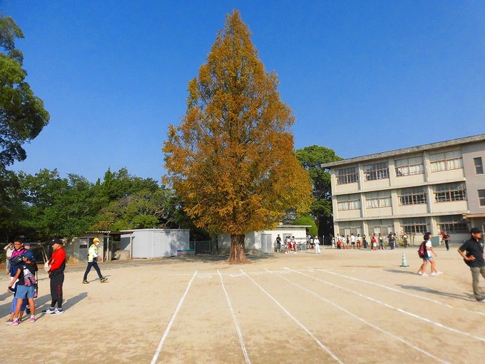 20171009_体育大会03スタート地点.jpg