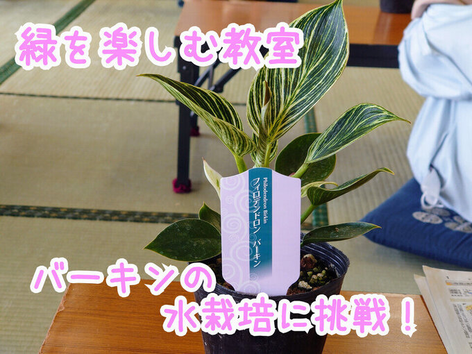 北川副