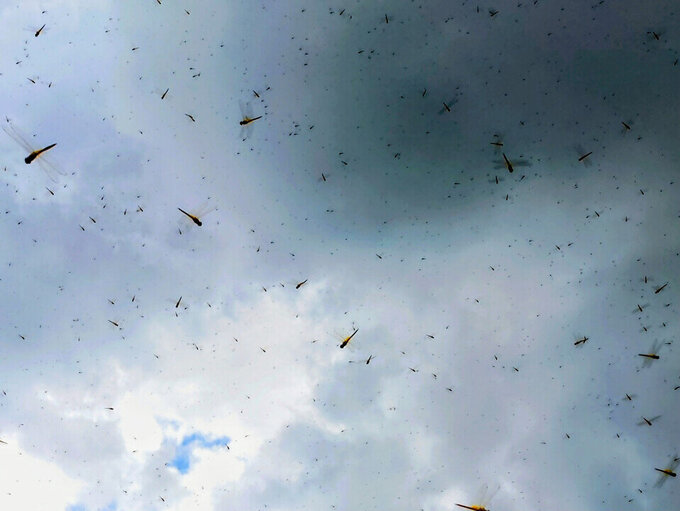 20250905142048-fd1b962d7c1df284c1d6f06cbdc90148e2425388.jpg