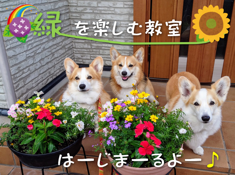 北川副