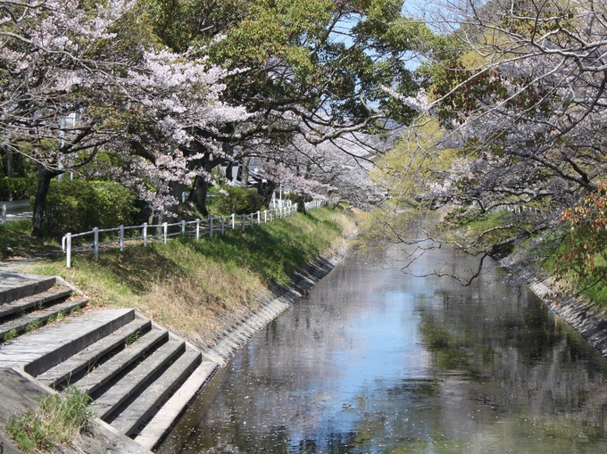 神野