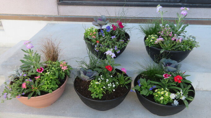 R7_11_22 みどり(4).jpg