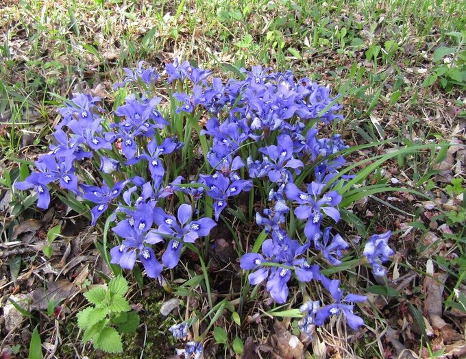 20230329103429-279ee56561302abac6135c5405e70ad44fa04c27.jpgのサムネイル画像のサムネイル画像