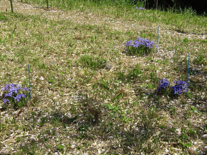 20230331140625-e7c63a36ab4eea122afb9627dbb7a2b974f6d940.jpgのサムネイル画像