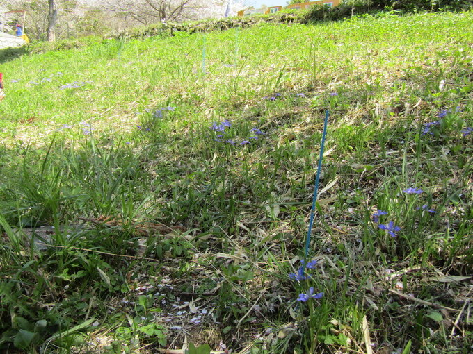 20230331140711-6da67c3b38d6385de28c5e12a1d9583b28ecbfc3.jpgのサムネイル画像