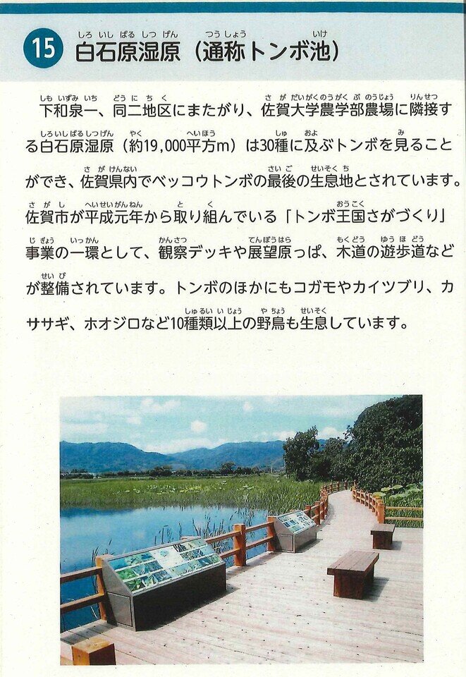 久保泉