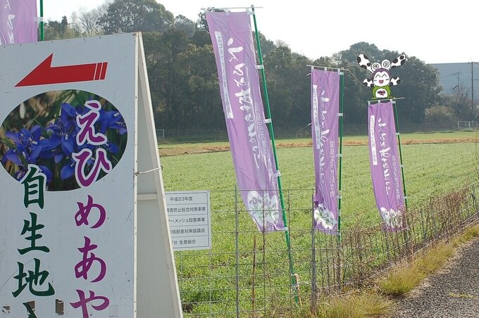 久保泉