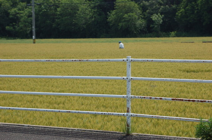 20250514143352-dda9376b1fb55ac48e11c84c73618c45196c6c5c.jpg