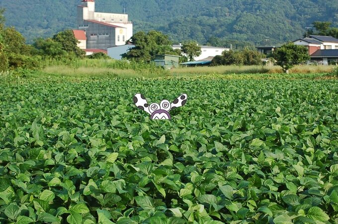 久保泉
