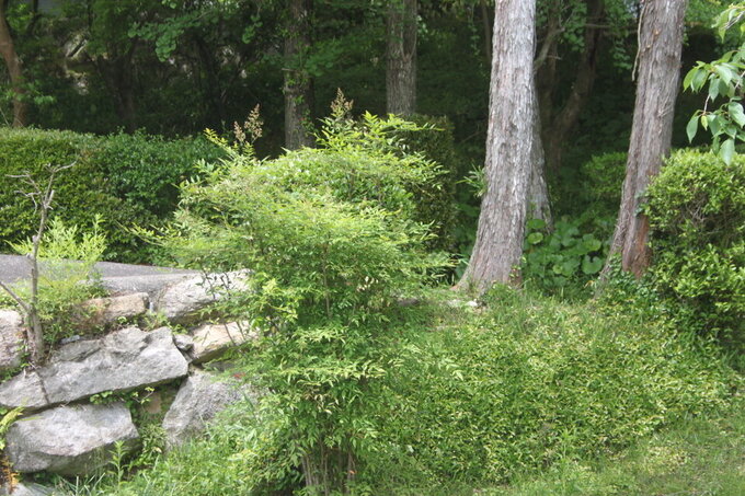 20260504171054-c6e5f252b38fd4a818f9b06be9bc3957bb8210f9.jpg