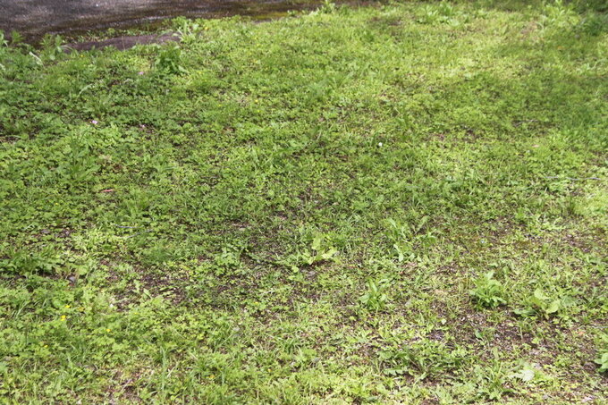 20260504171055-8b0a281e58b8bc263686ed61ca751db71672e5bc.jpg