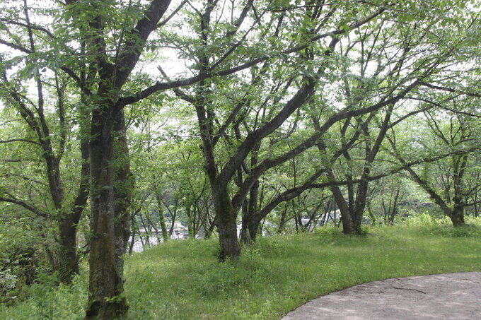 20260504171102-0bea526c989ce891ffe7990c9a2f3b687d997b8e.jpg
