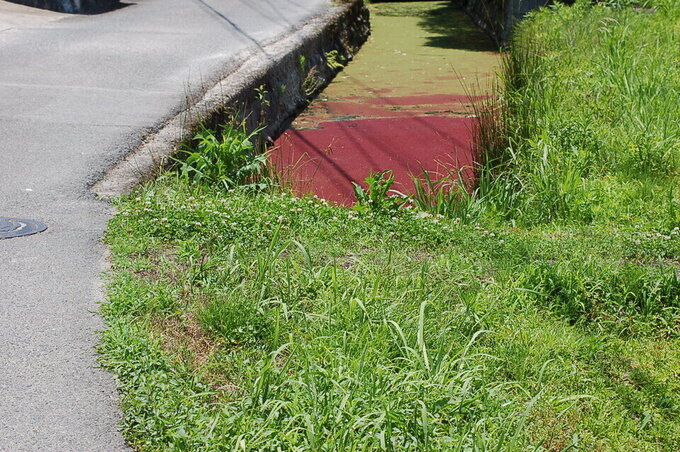 20260612143926-6d6ced505ea1bcb2520569dc932f00431a6c7801.jpg