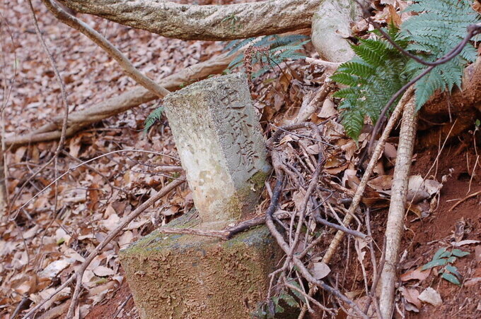 久保泉