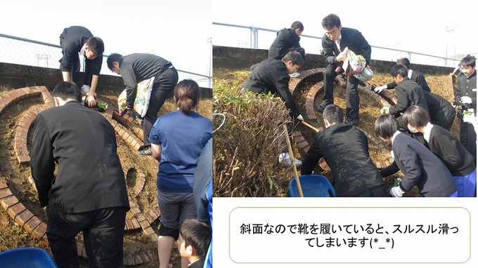 中学部草むしり1.jpg