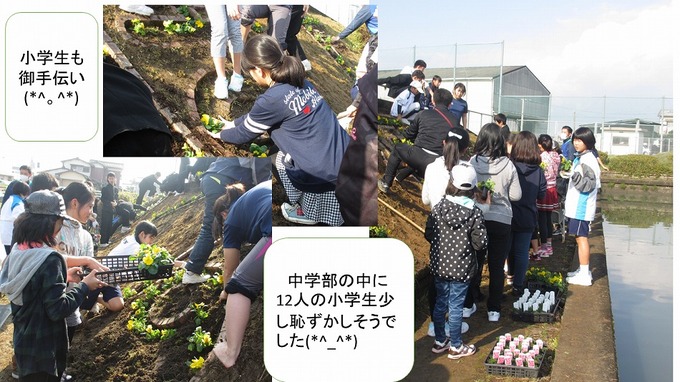 中学部草むしり5.jpg
