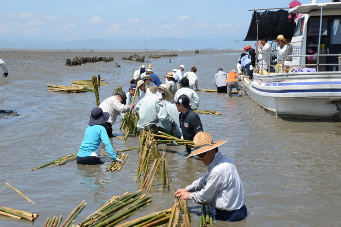 20180728kaki3.JPG