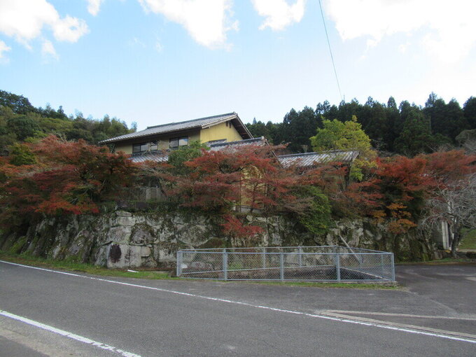 松梅