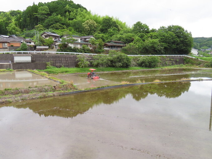 20260604120007-0756ad48db7adecddb0a78c5c8ca795e6fae28d5.jpg