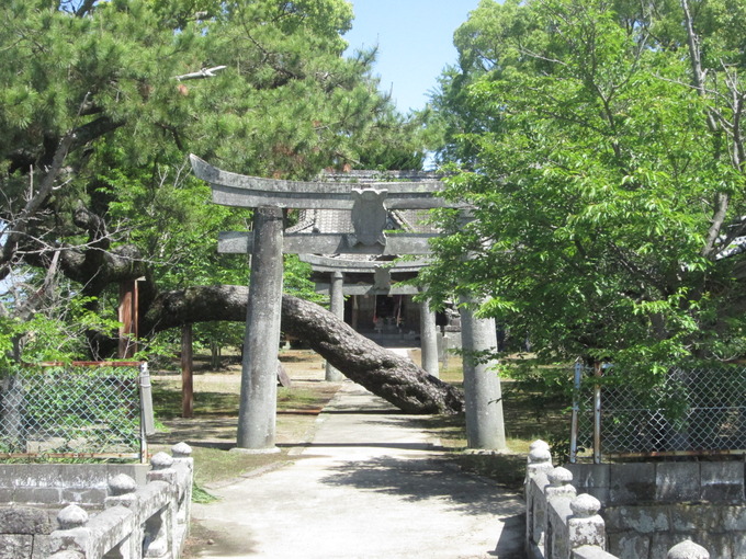 今古賀神社全景.JPG