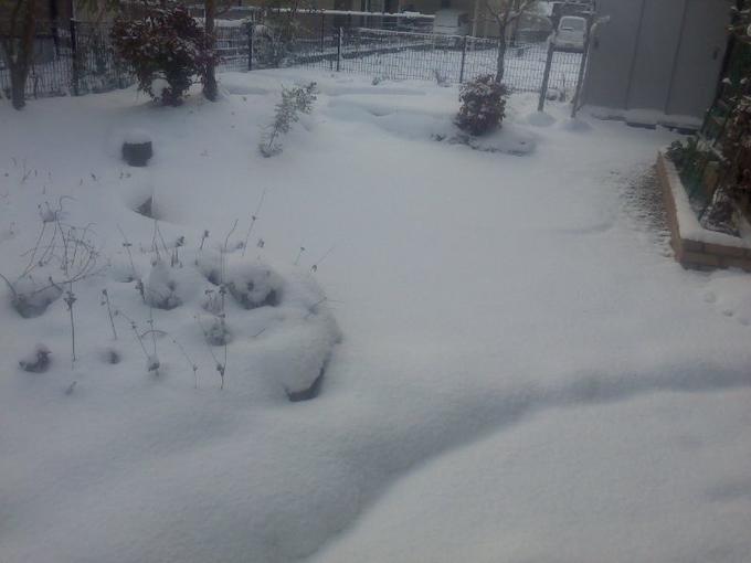 大雪の庭.JPG
