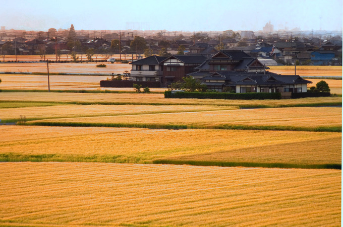 南川副