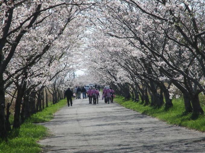 南川副