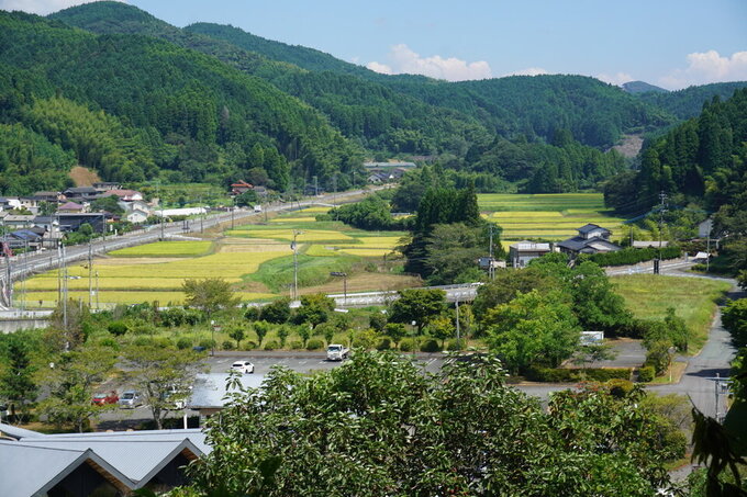 三瀬温泉「やまびこの湯」後方に広がる棚田.jpg