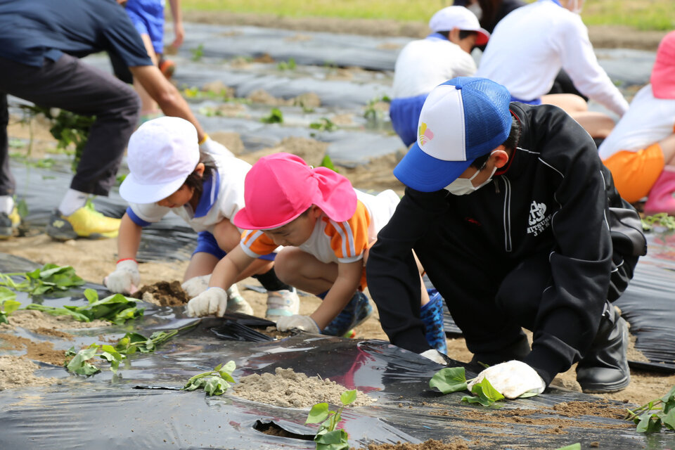 三瀬村「保小中合同芋苗植え」 | つながる三瀬