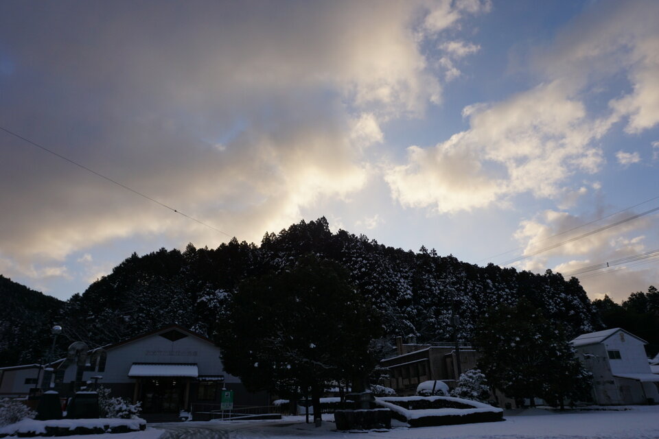 つながるさがし