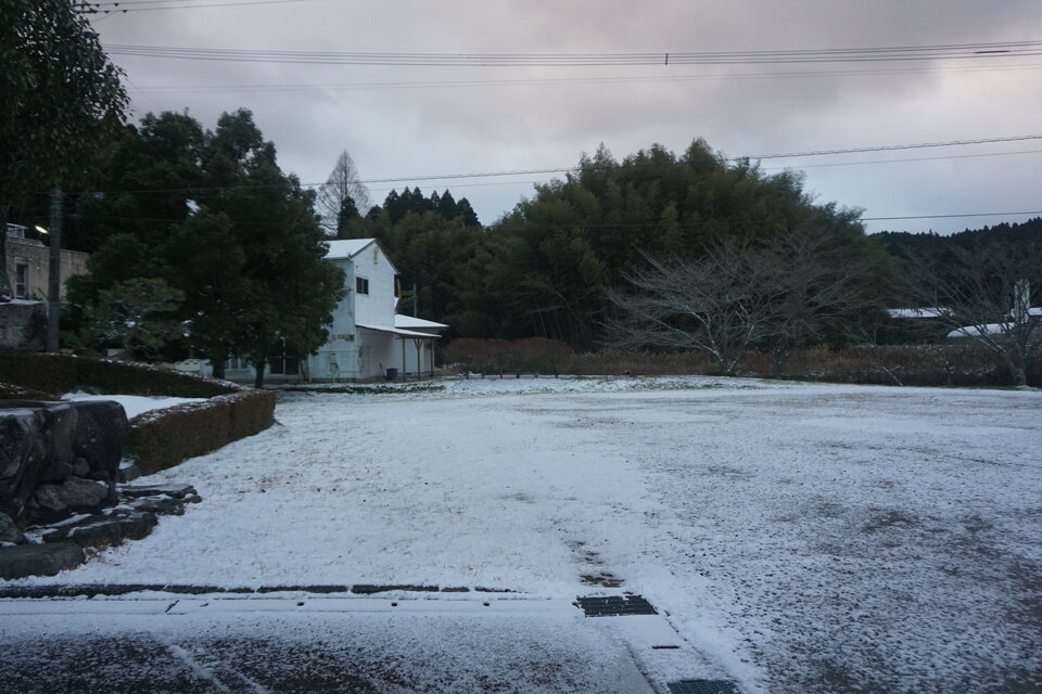 つながるさがし