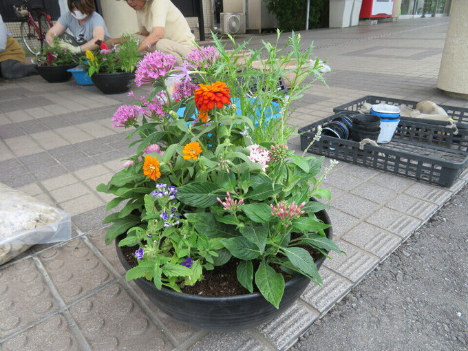 20250624142306-d80e7a4adb1aa73cabe9802ae68a9cad3223e458.jpgのサムネイル画像のサムネイル画像