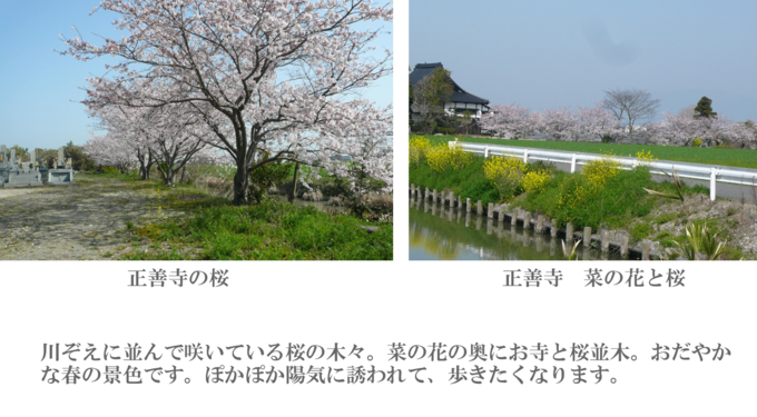 つながるさがし