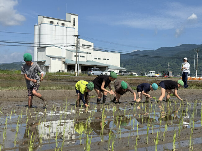 田植え.jpeg