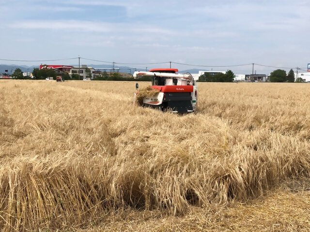 西川副