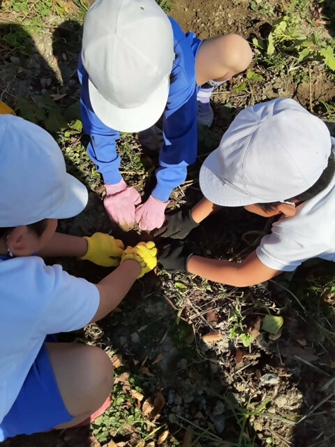 20231120103641-f8384356aac9b33b4212efacdc24546f1cc07c26.jpeg