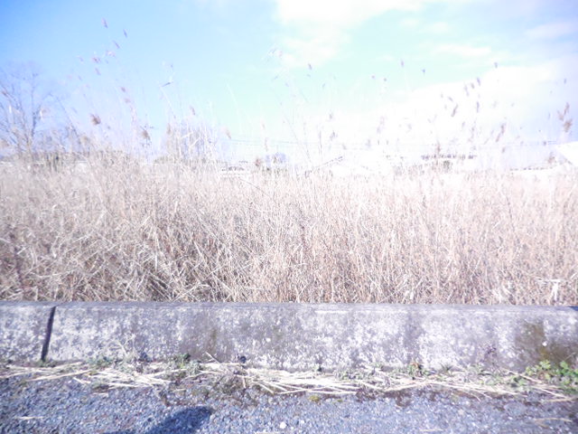 010.JPG