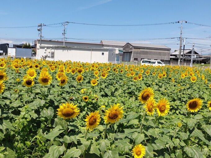西与賀