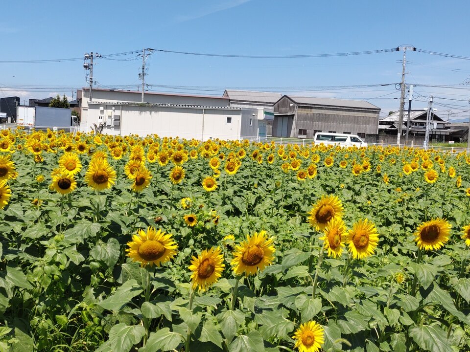 西与賀