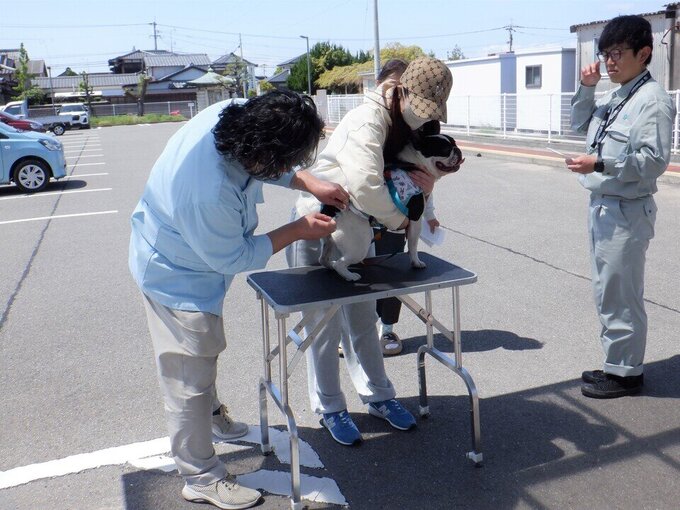 大詫間