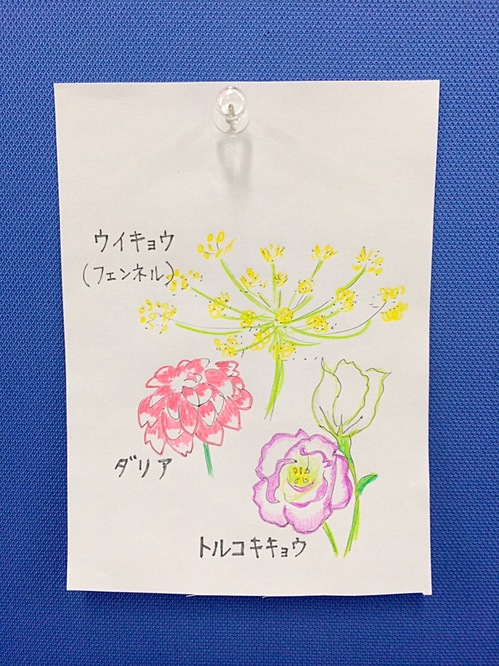 flowername7.03.JPG