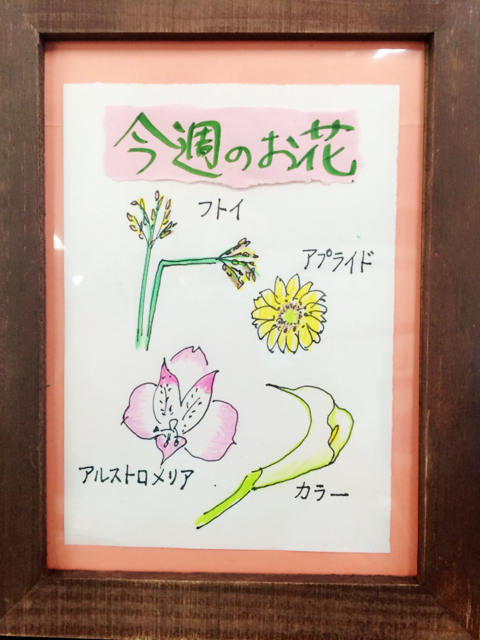 flowername7.24.PNG