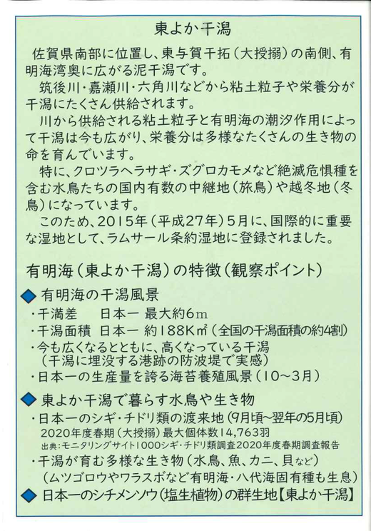 東よか干潟観察_ページ_2.png