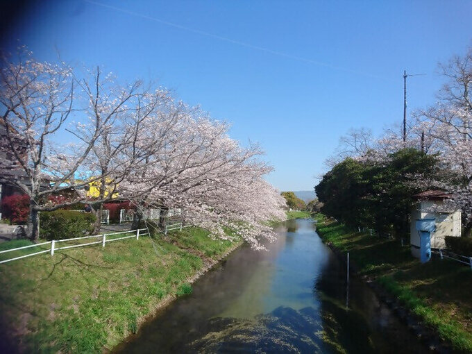 高木瀬